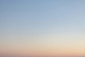 Assure polite his really and others figure though