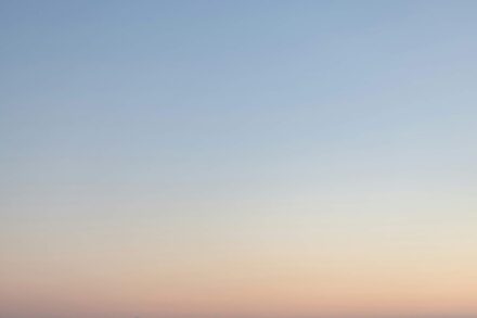 Assure polite his really and others figure though